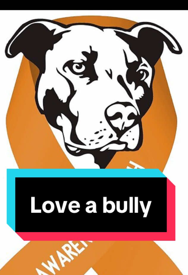 @Jessica ForgottenDogLeague