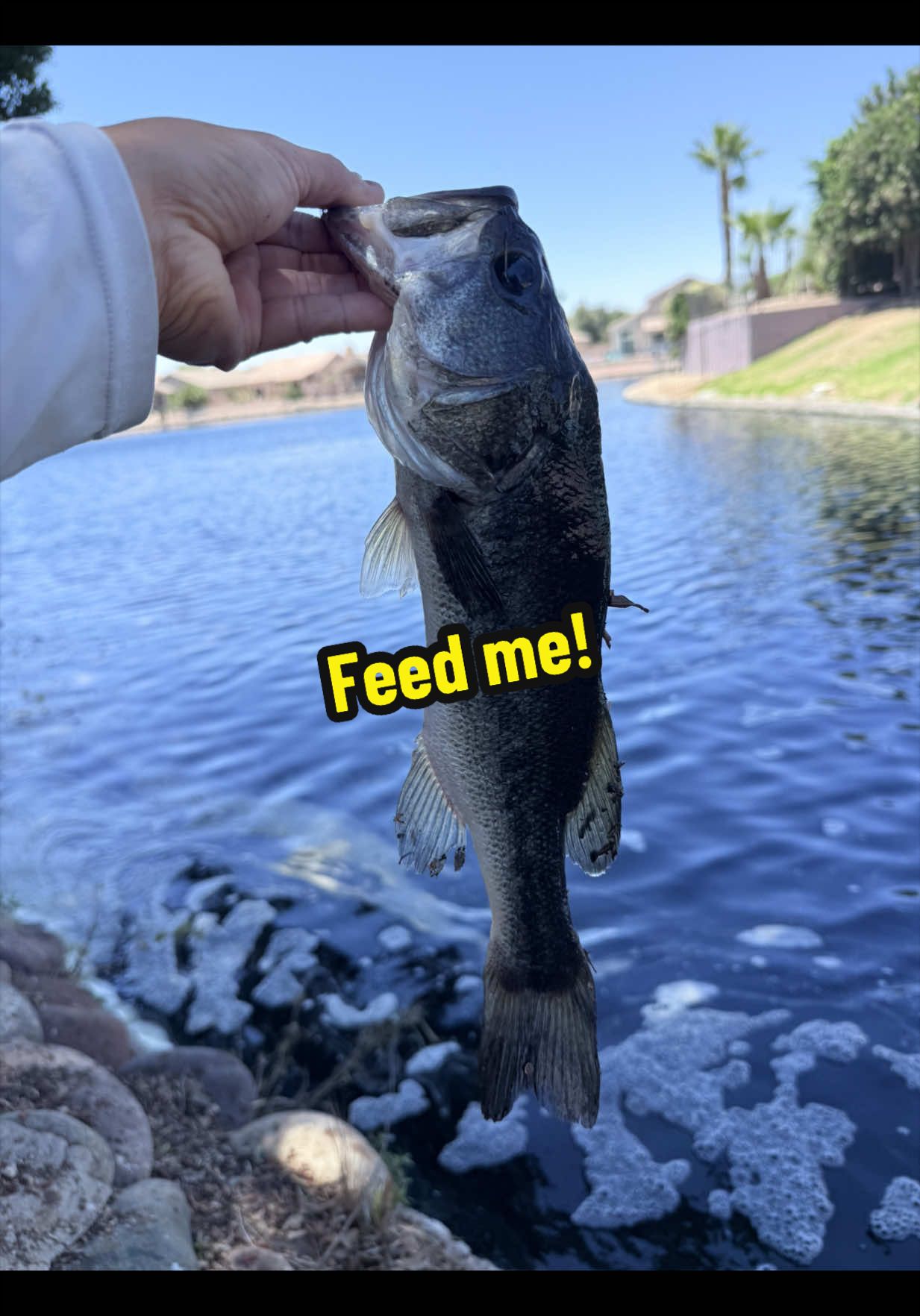 @Luu Nguyen Fishing