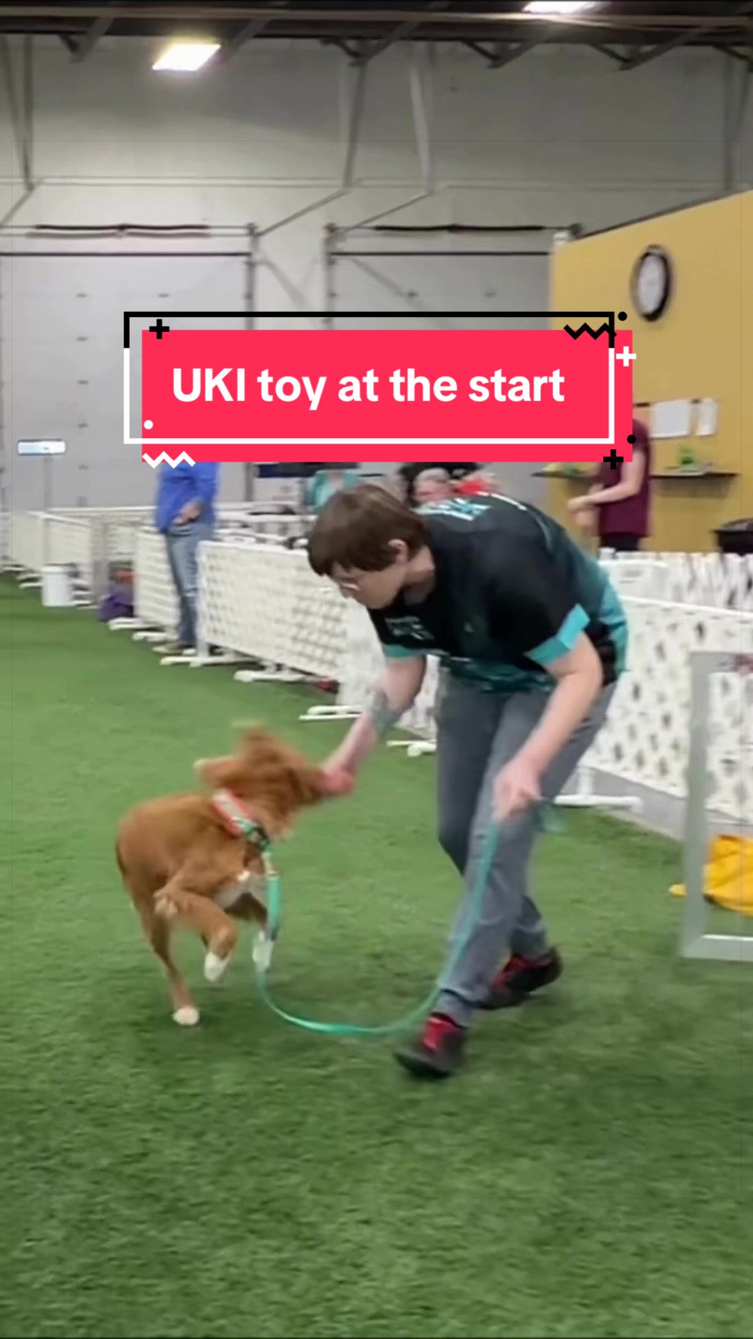 @Laura Waudby - Dog Sports