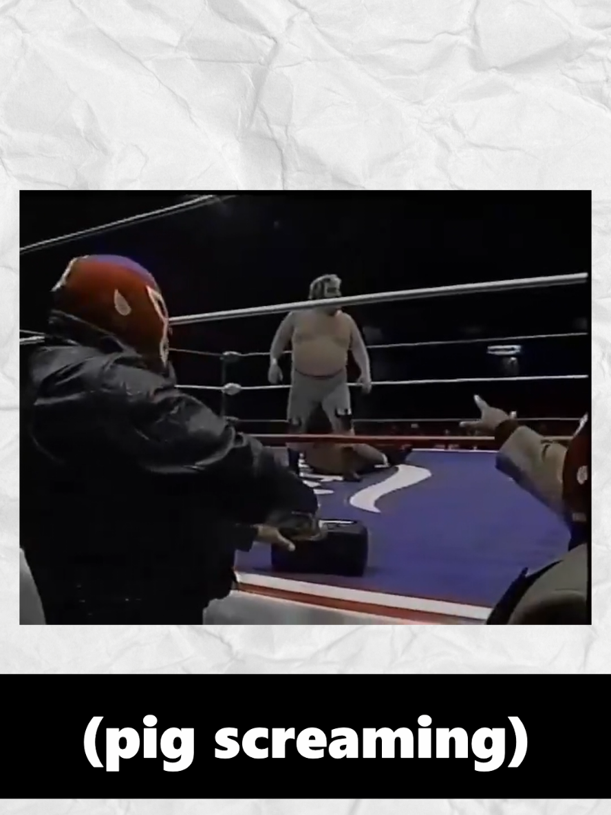 @Club Lucha