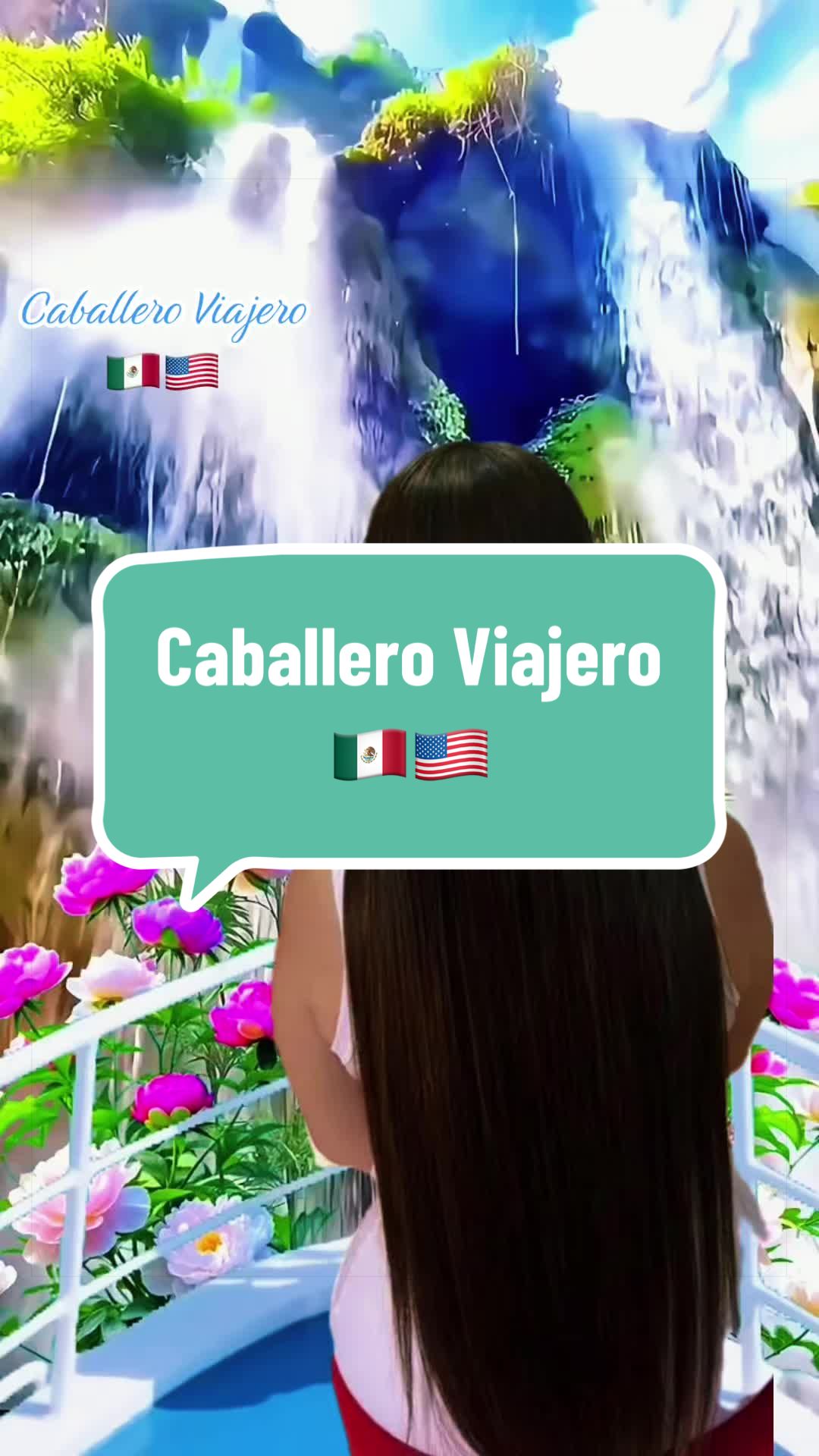 @caballeroviajero0317