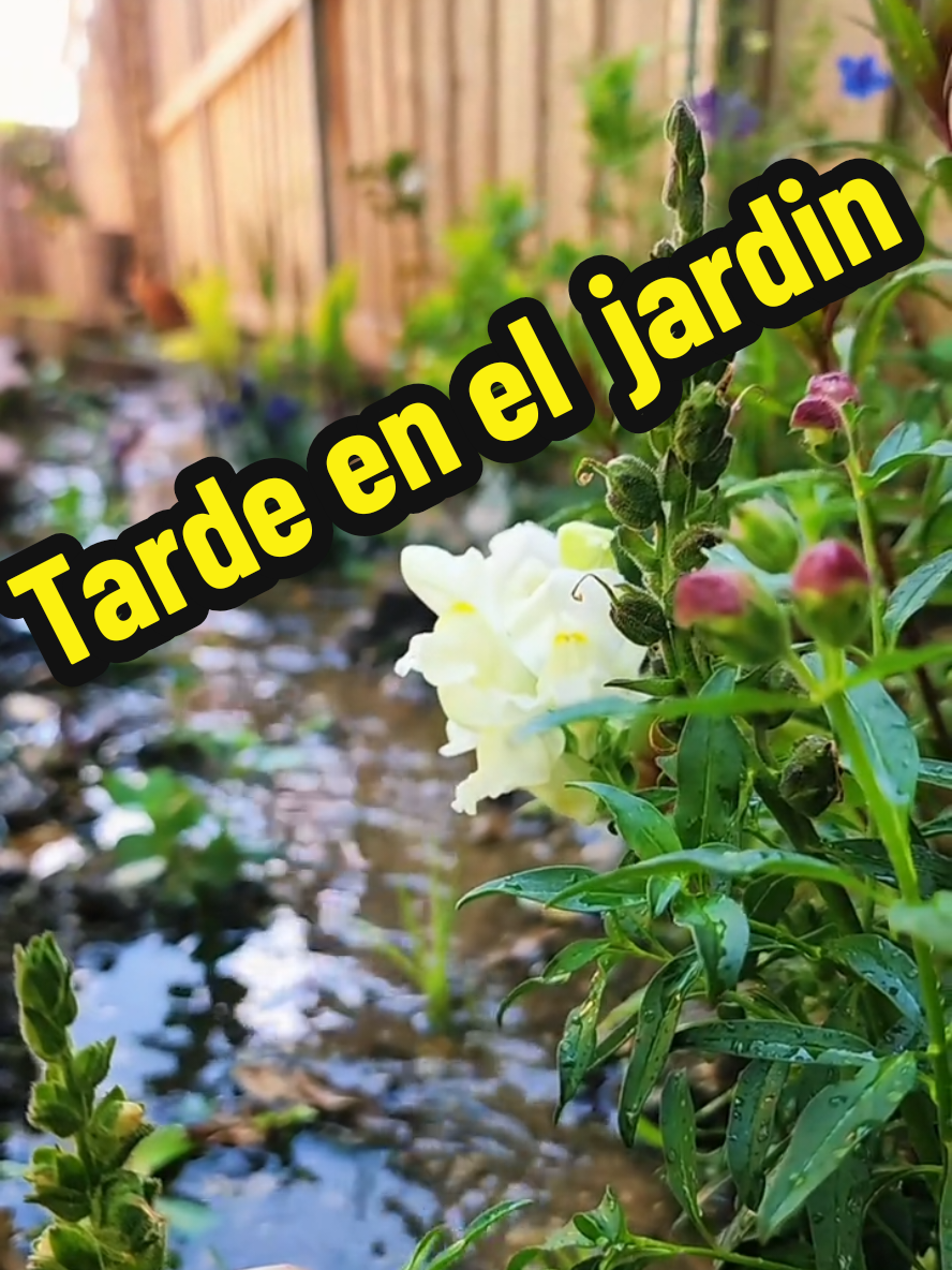 @Mi Rincón Favorito
