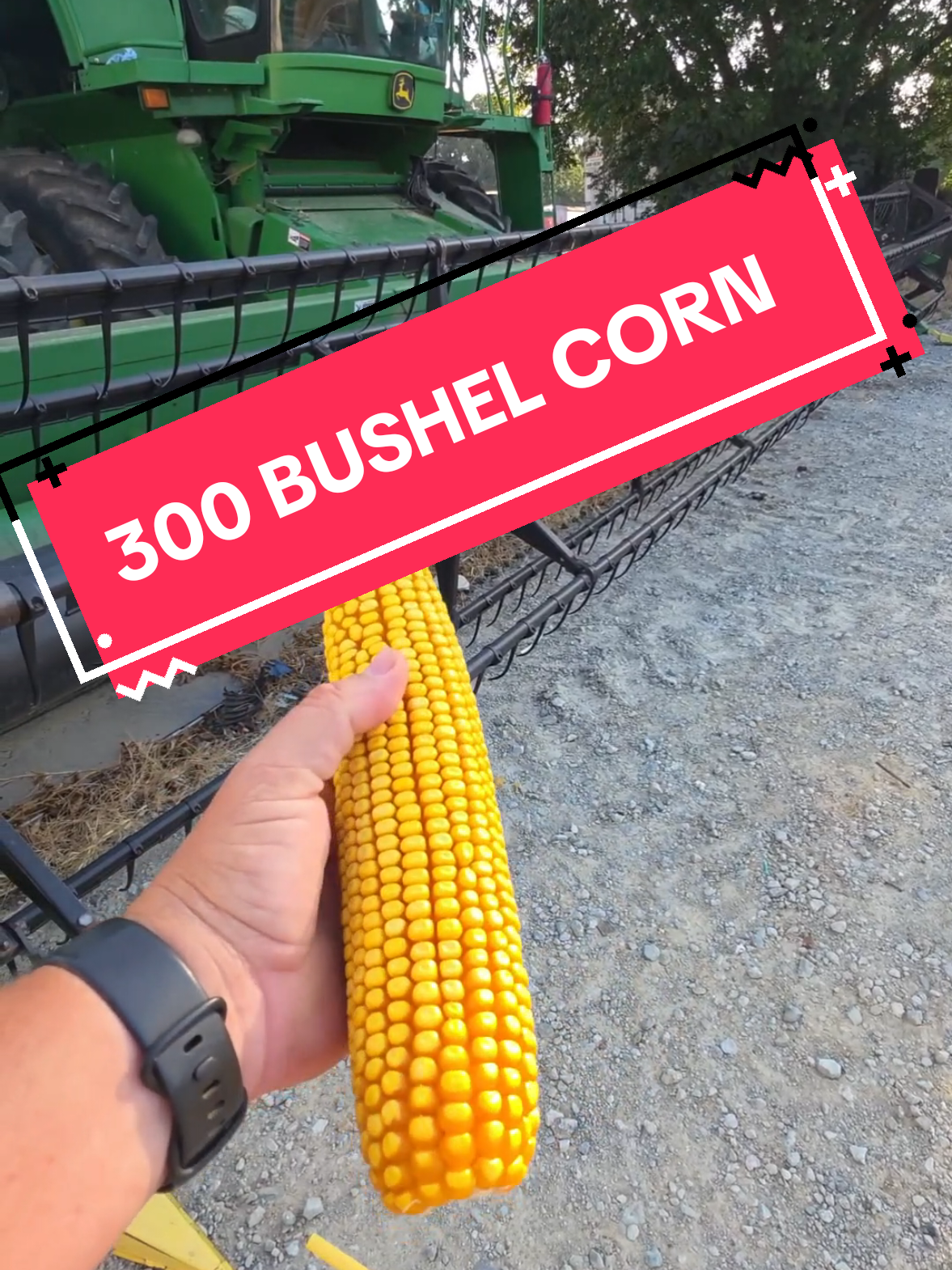 @Bushart Farms