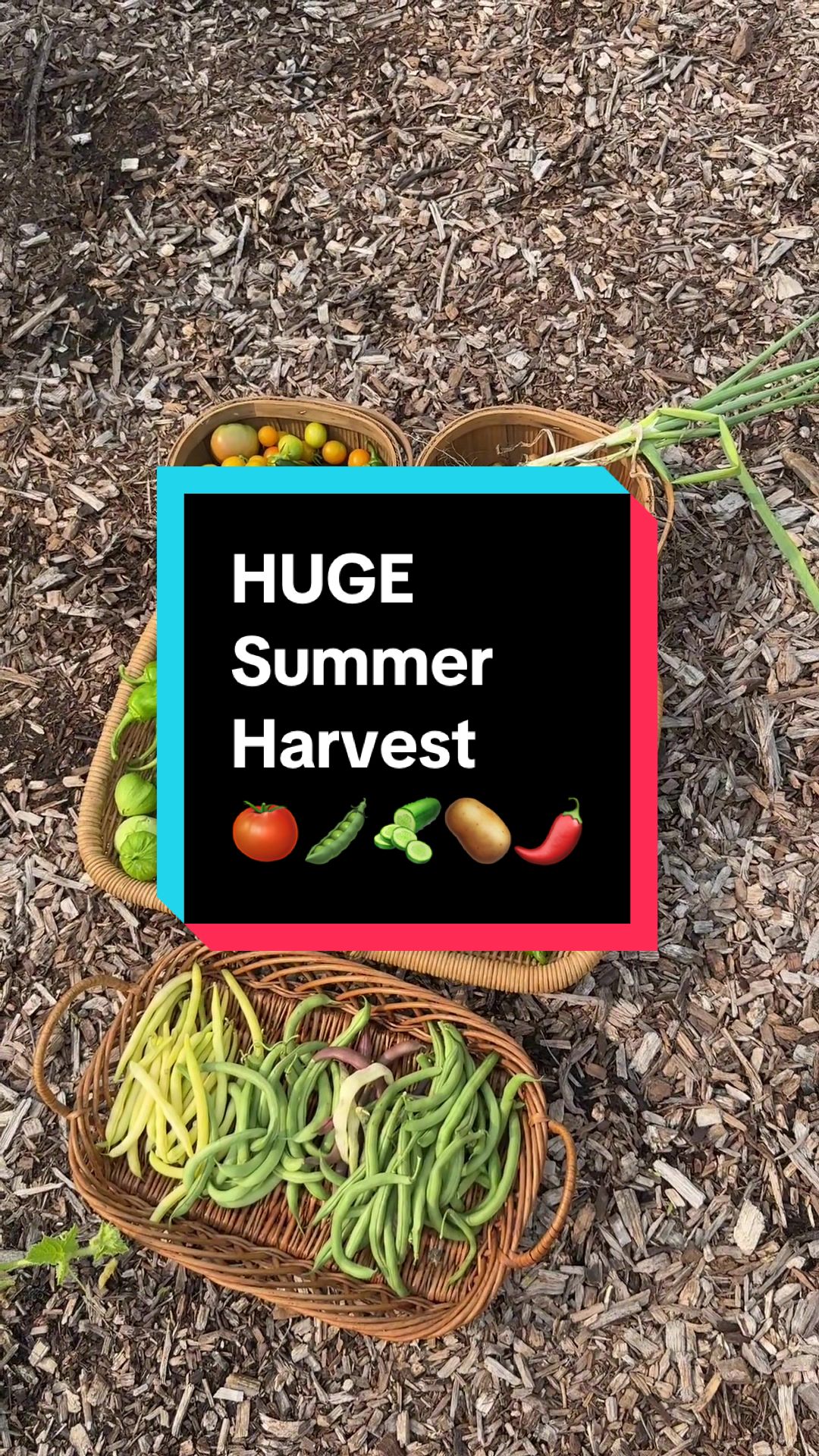 @VeryGoodGardening