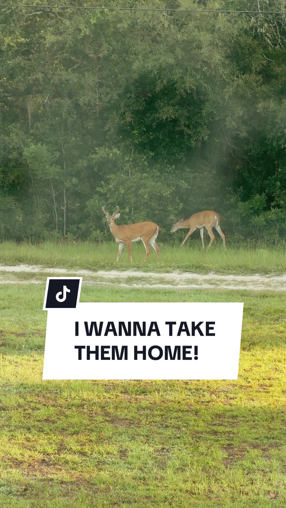 @Alyssa Allison