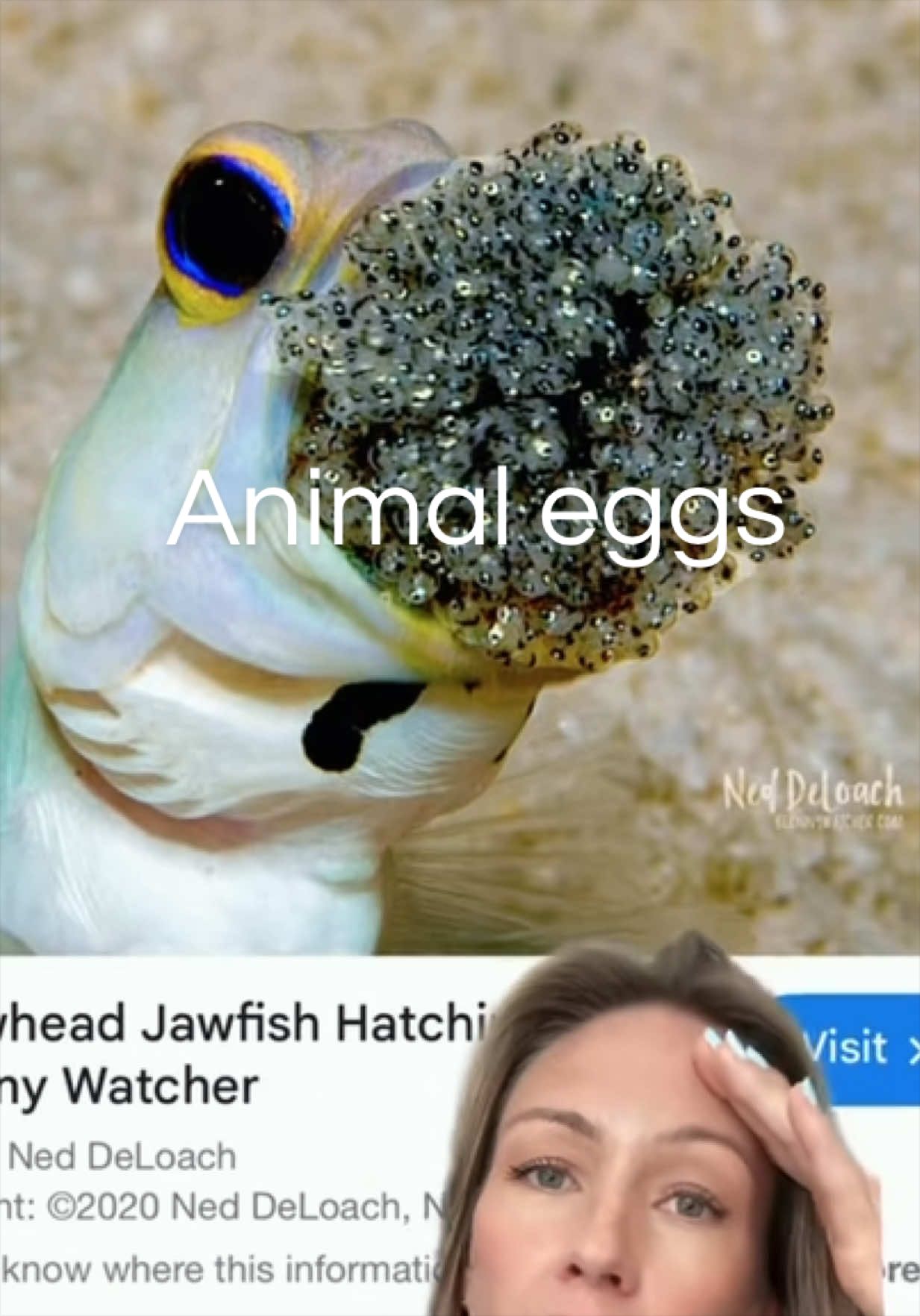 @SarahMakesMeLaugh