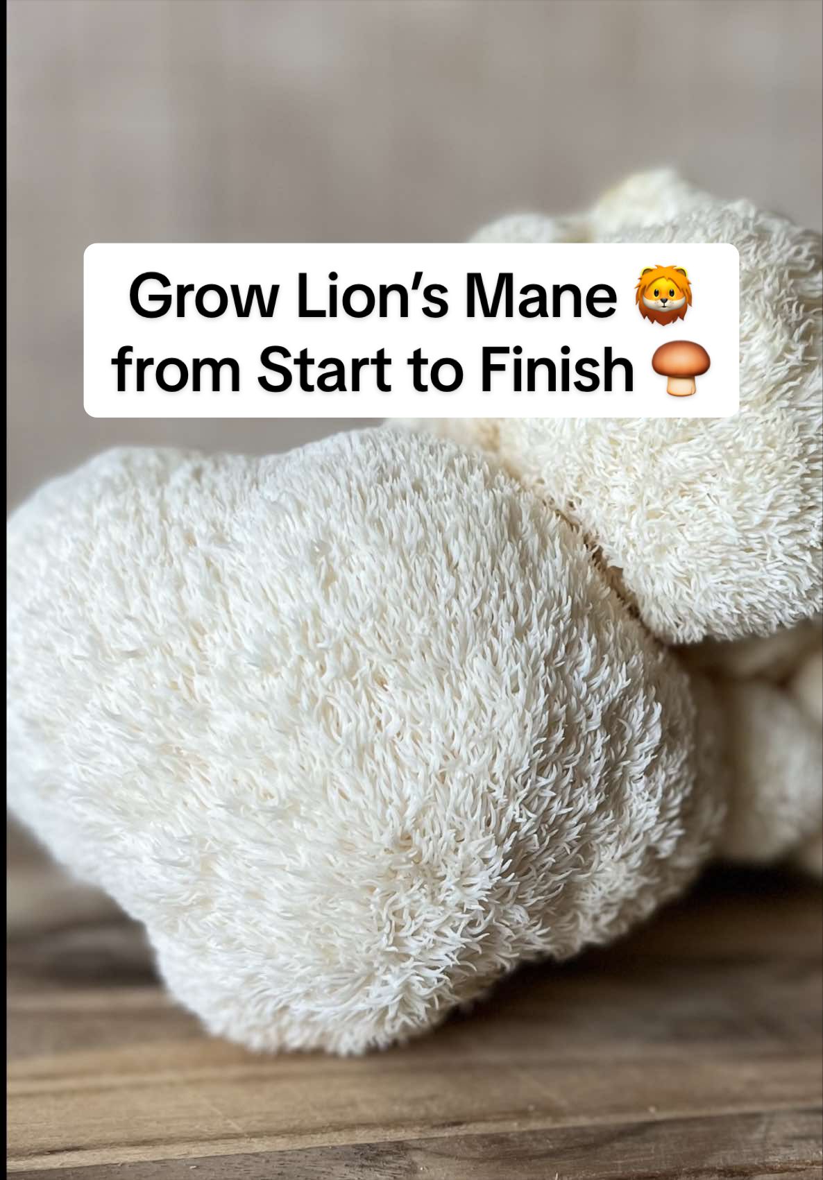 @learntogrow