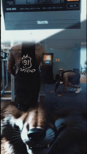 @🦊BigDaddyFox🦊