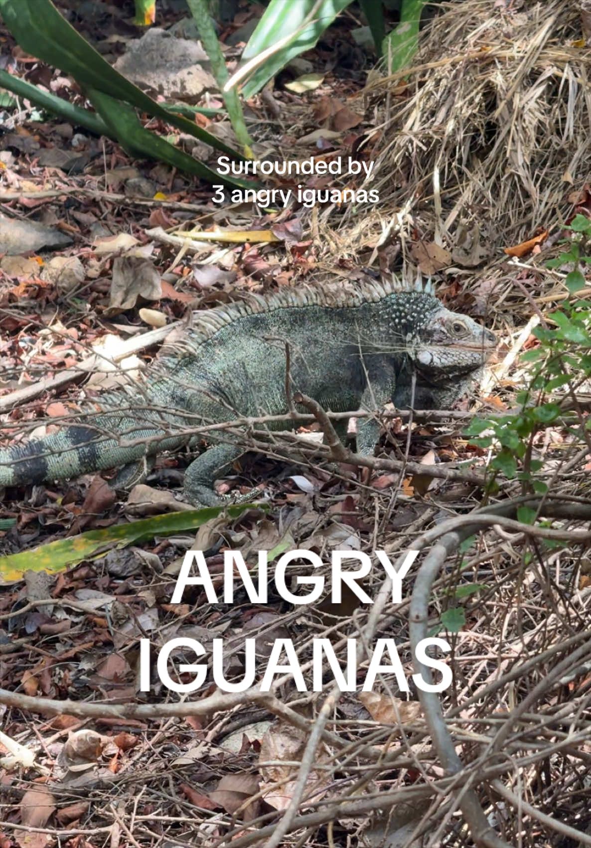 @Josie Weaver