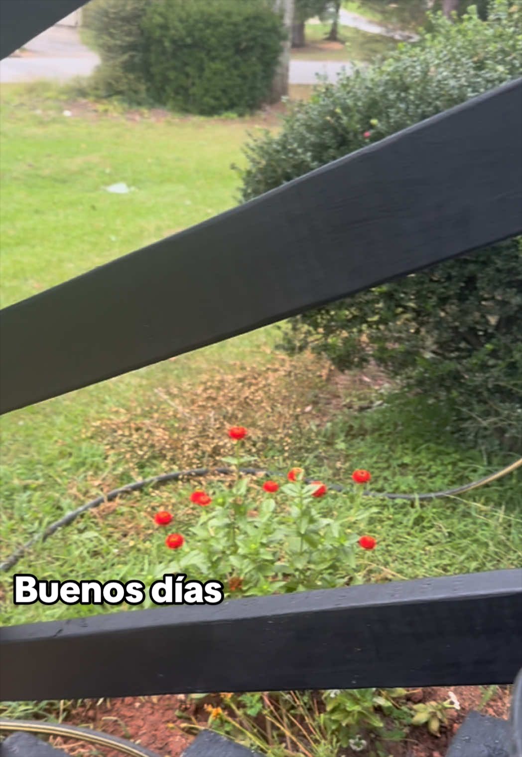 @Alicia Buruca