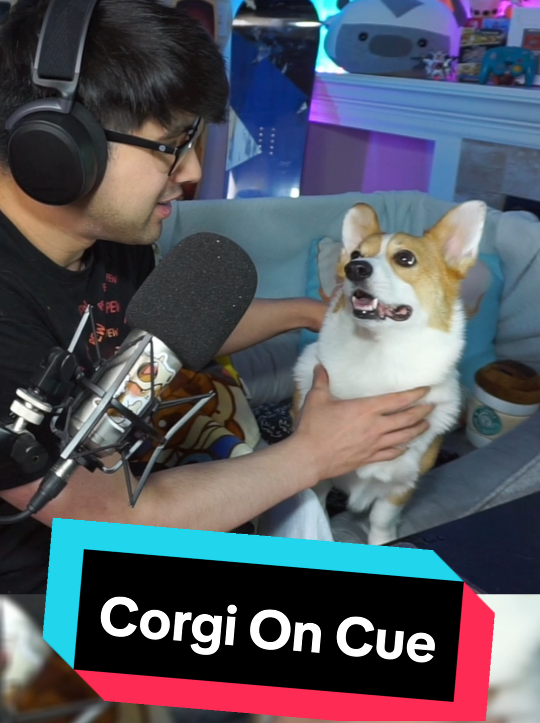 @Protocorg | Twitch Streamer
