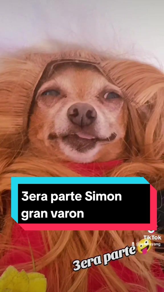 @Jessica Orria Vazque