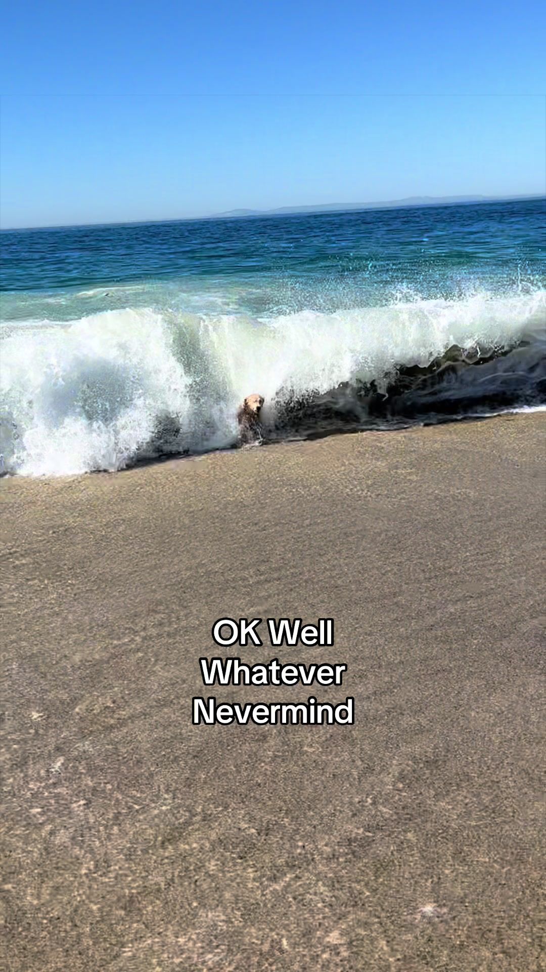 @Maui, Ruby +Hugo