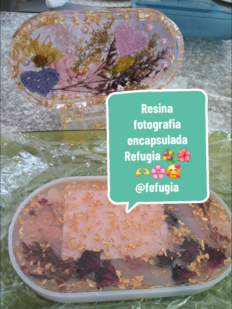@refugia