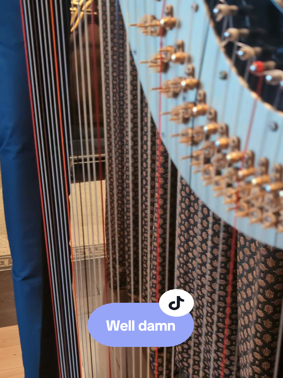 @hillarytheharpist