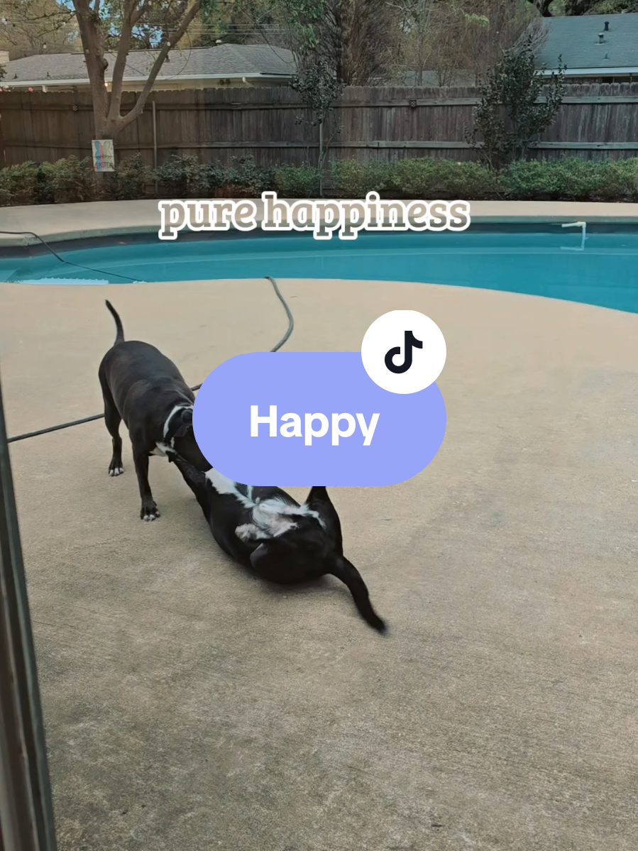 @Rex, Roux, Bailey and Mom