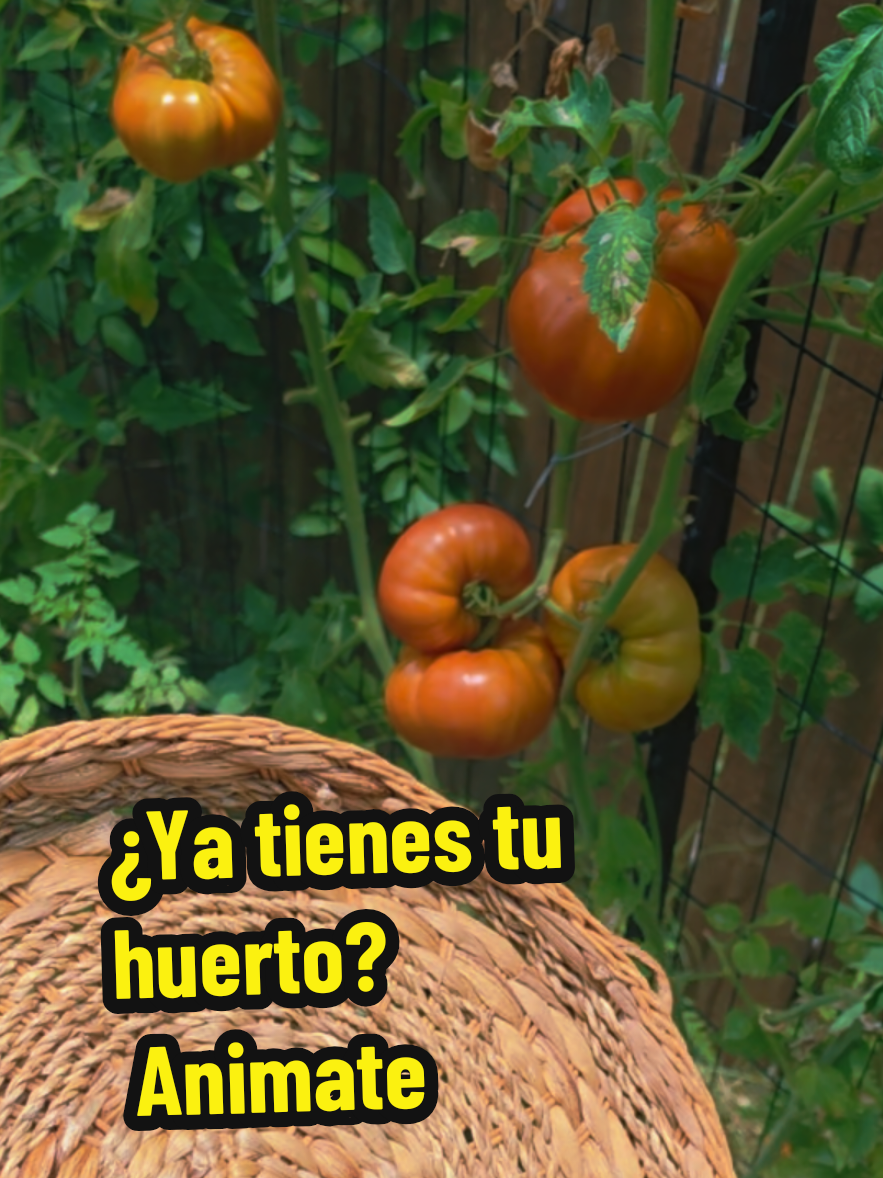 @Mi Rinc&oacute;n Favorito