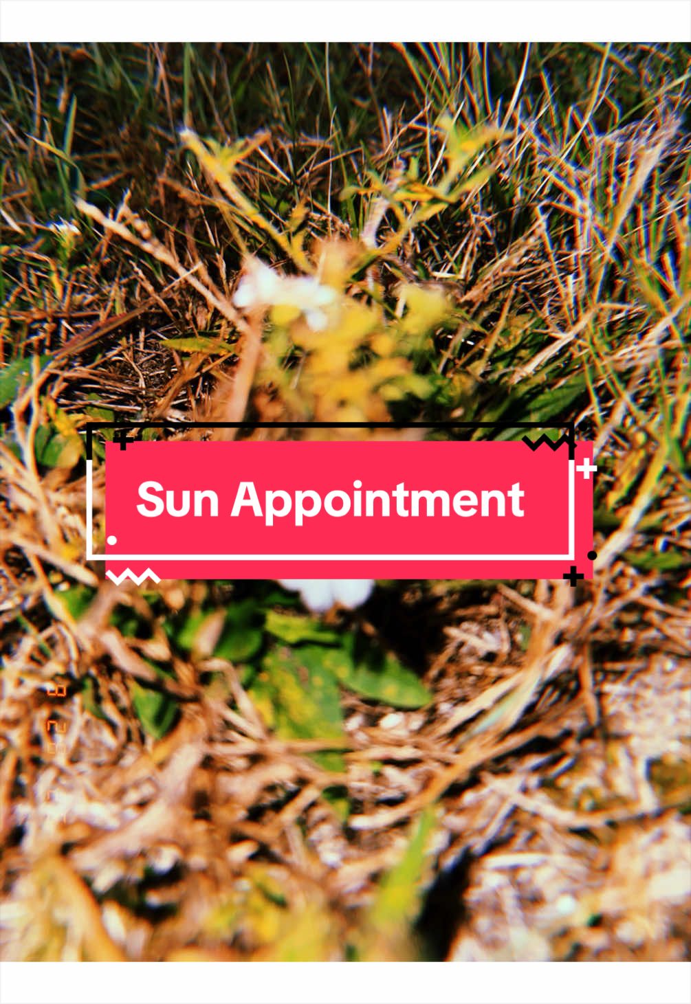 @Jen🌞