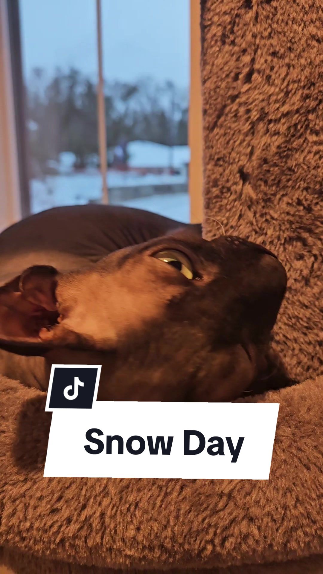 @kyoto.jack.sphynx