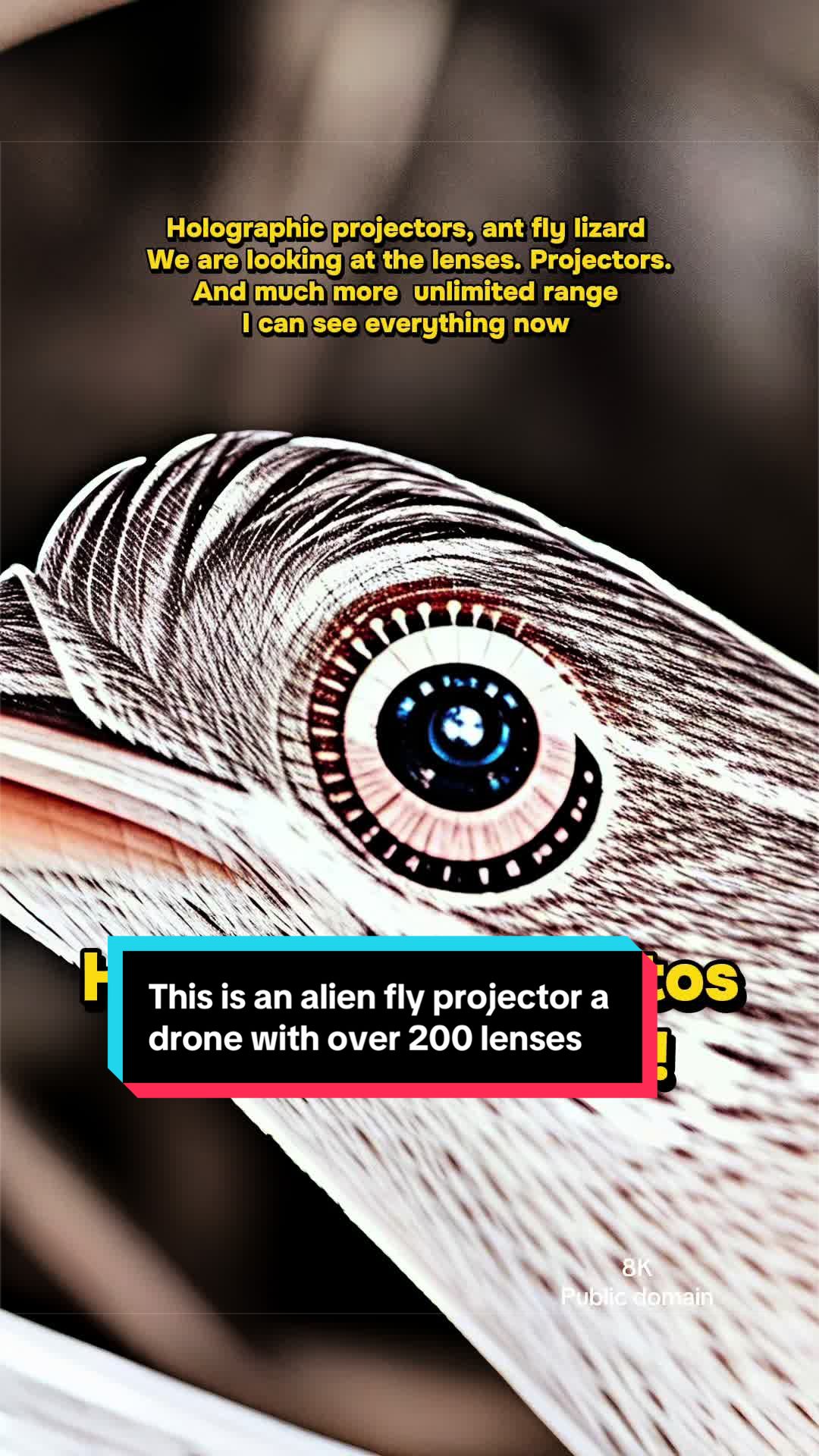 @universeisherenow