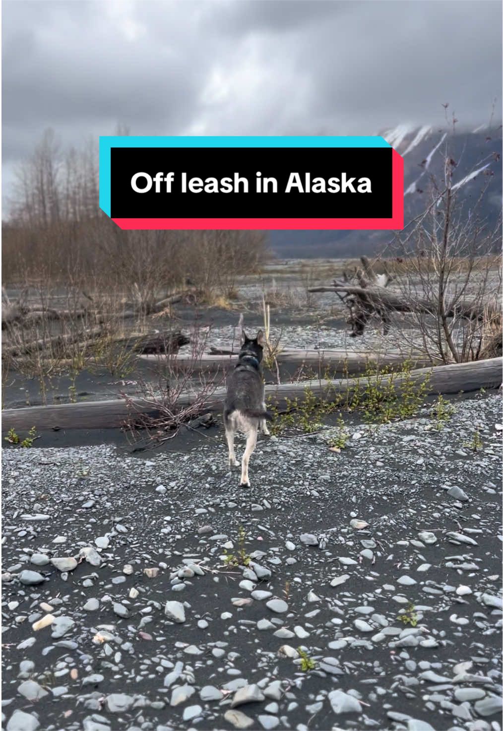 @Glacier Musher