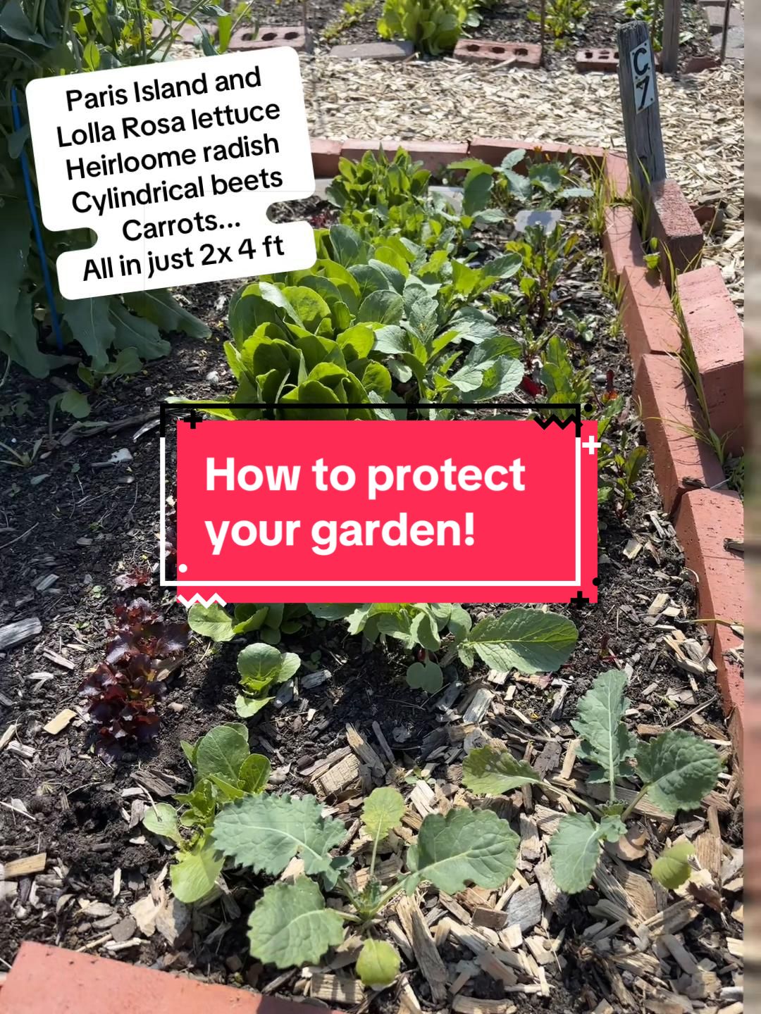 @greengirlgardens