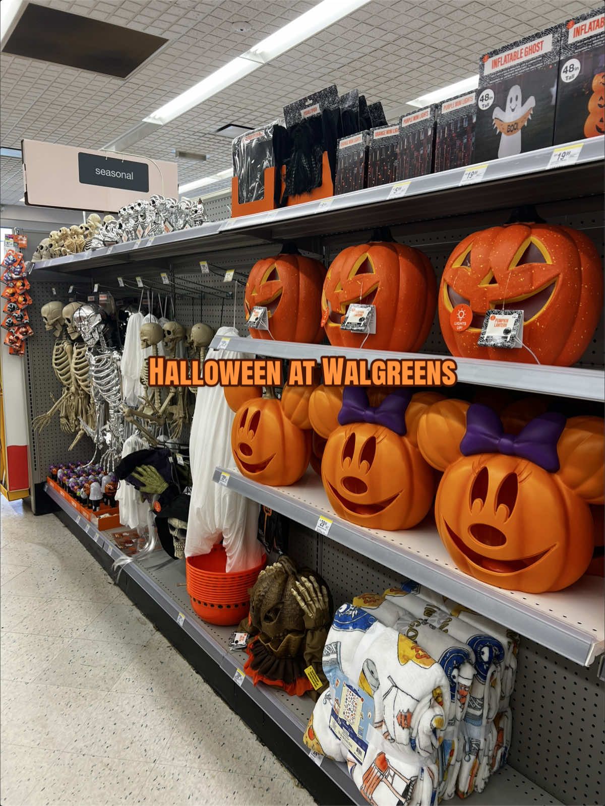 @Spooky Sara🦇🎃