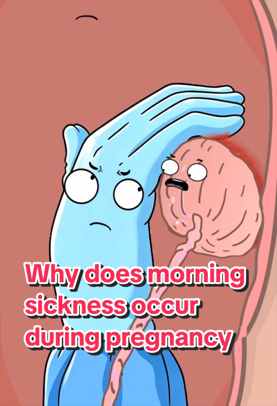 @Funny Animations