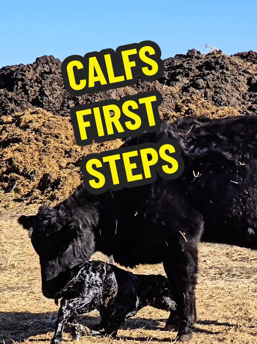 @1HANDNFARMING 🦾🌾🐂🚜