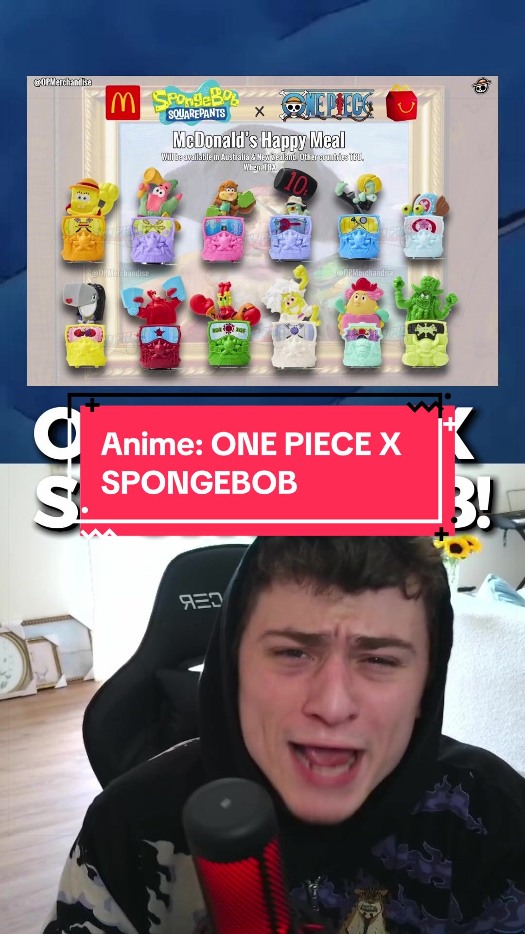 @Thenerdking