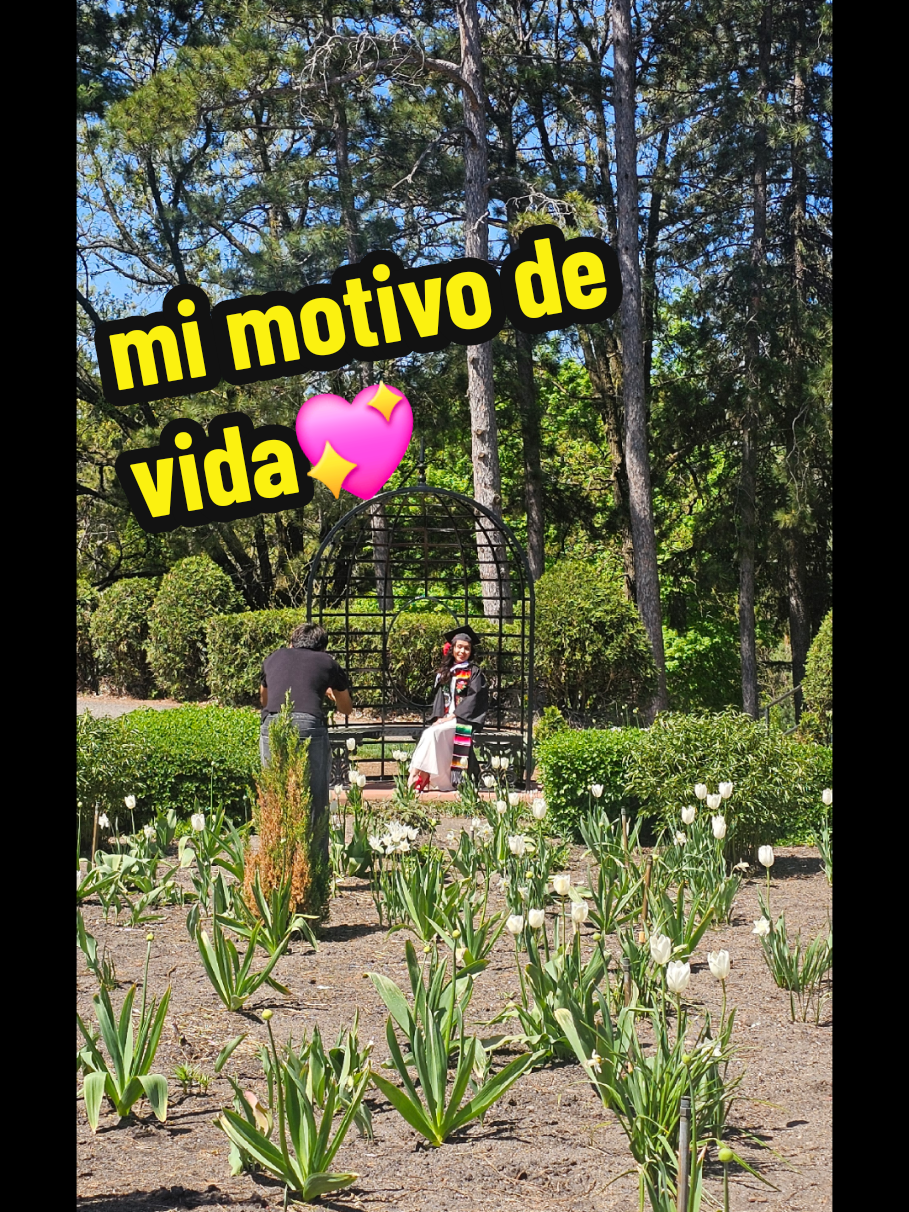 @🦋Mariposa Divina🦋