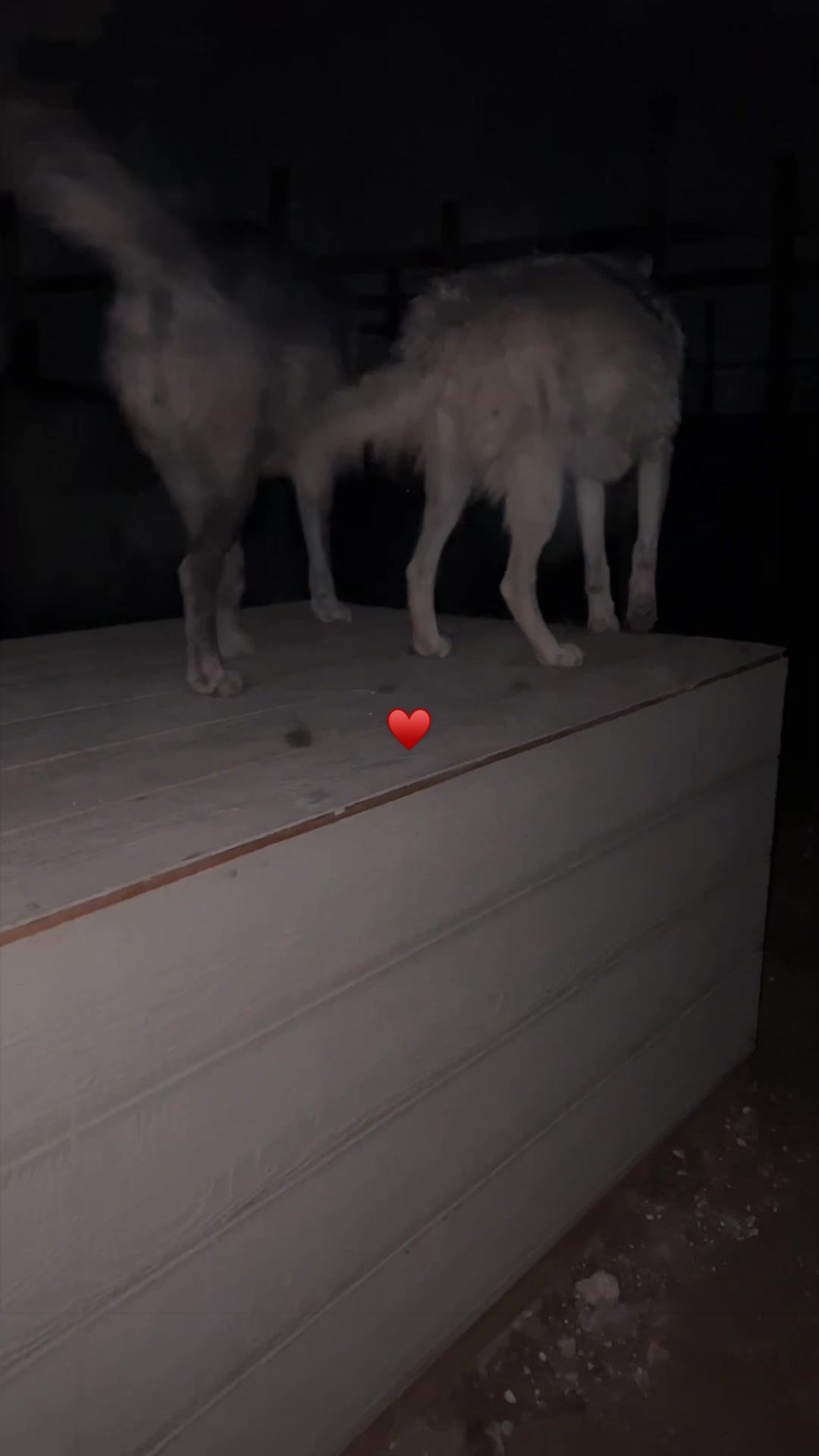 @KeeperOfTheWolves