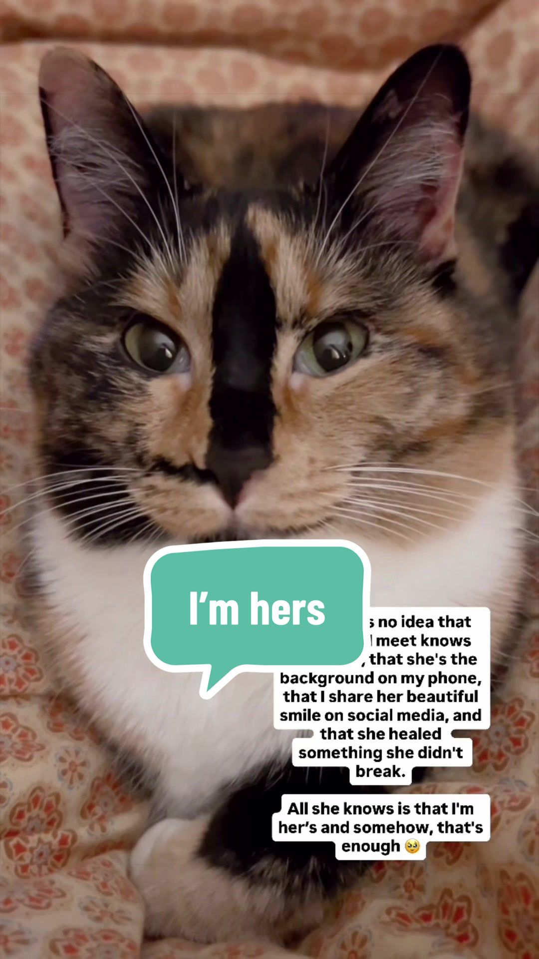@SnickersTheSmilingCat