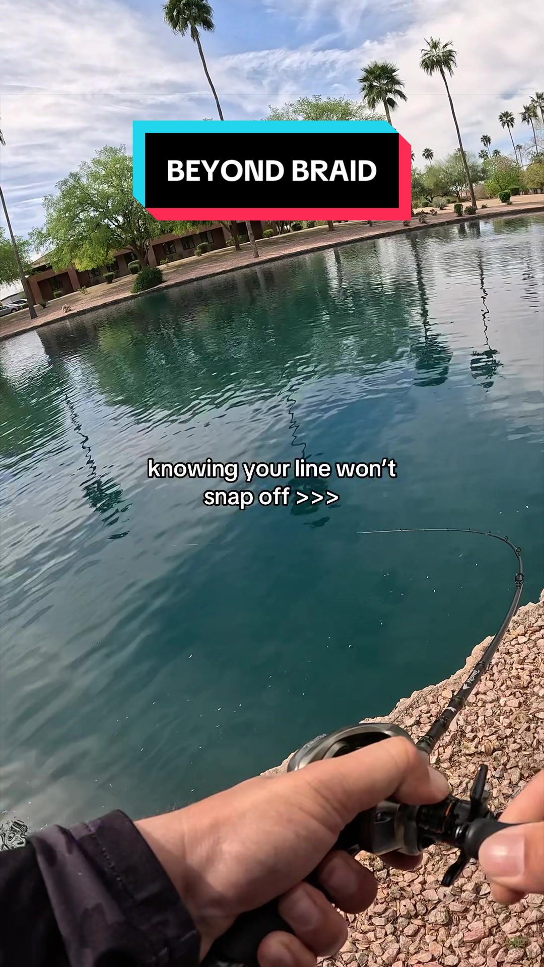 @Sharp Fishing🎣
