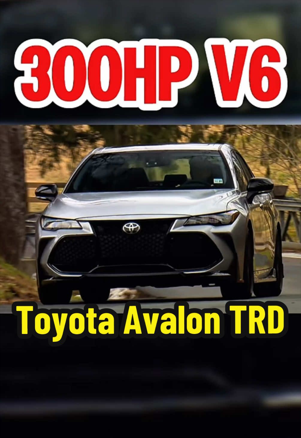 @TorqueHub🚘