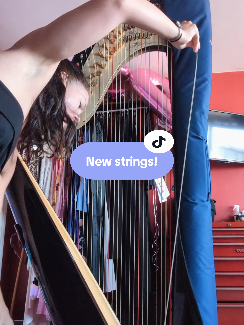 @hillarytheharpist