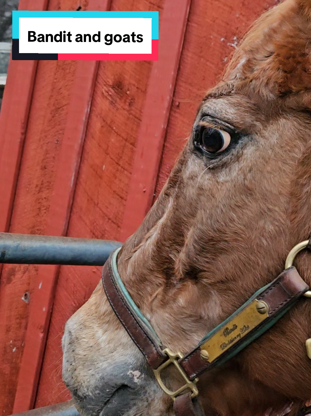 @Beth - Epona Media