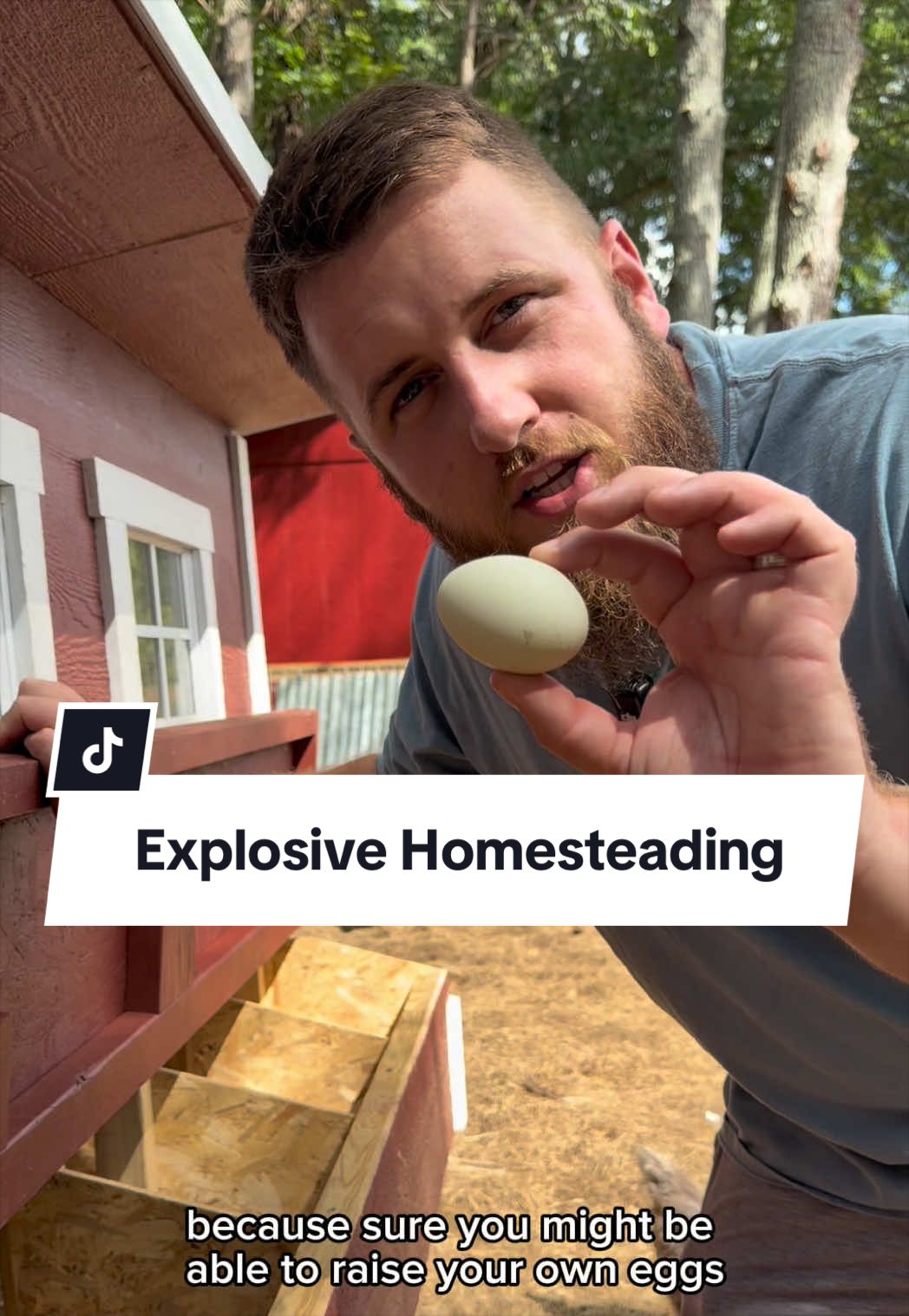 @Bandrhomestead