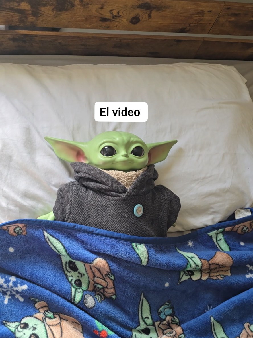 @Yoditabeibi (USA)