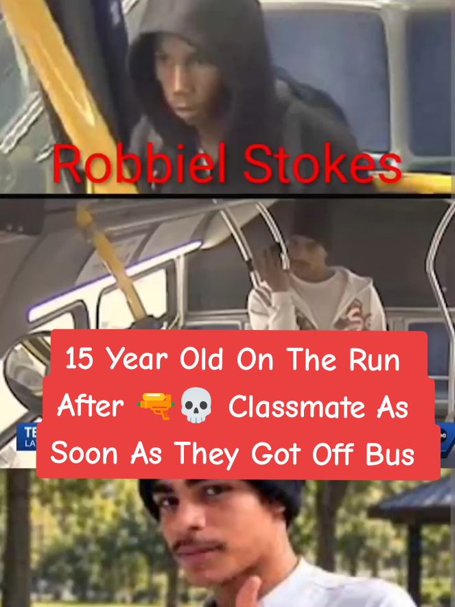 @LukesViews&News