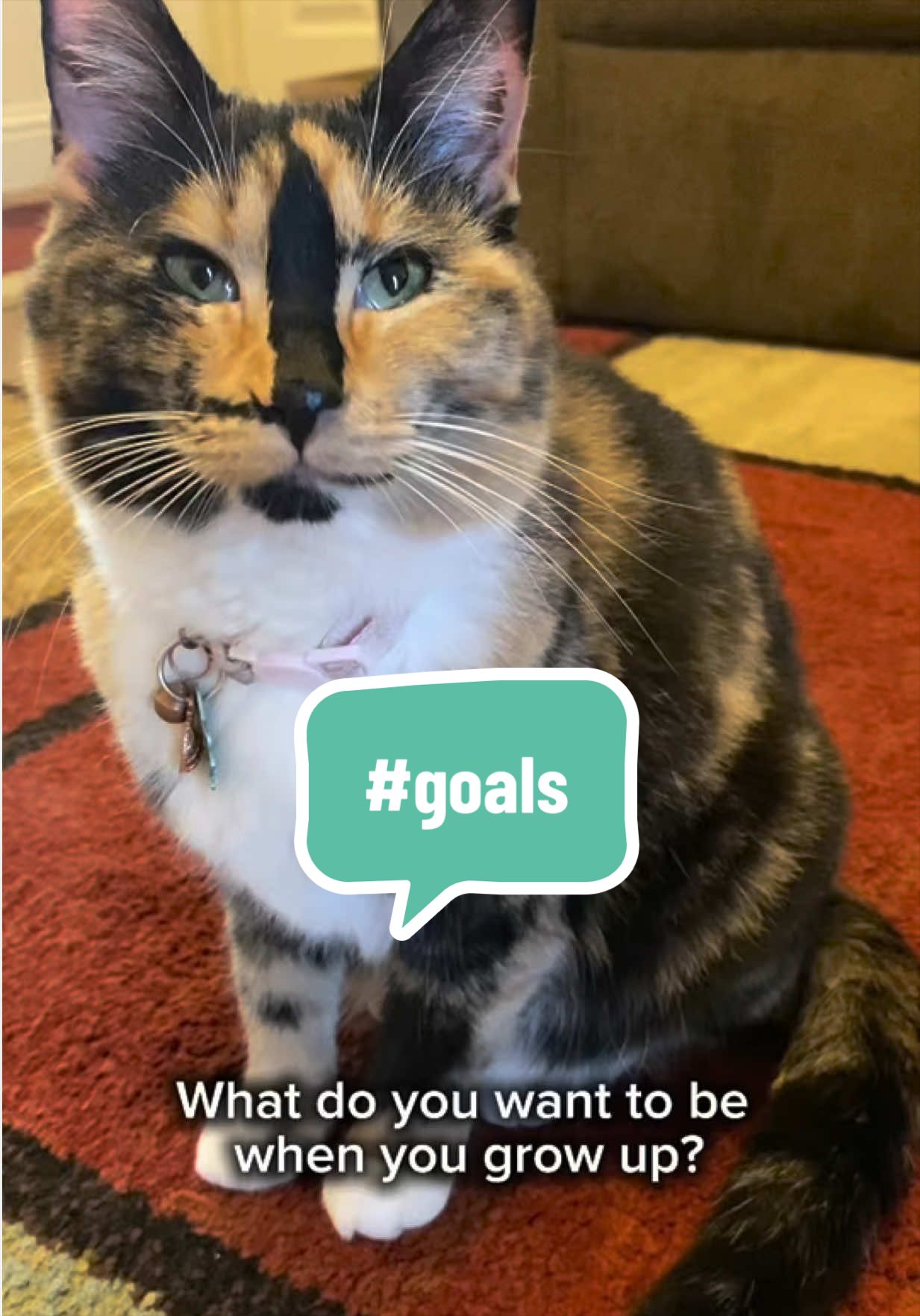 @SnickersTheSmilingCat