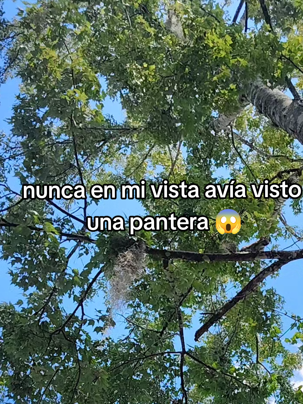@JerBer