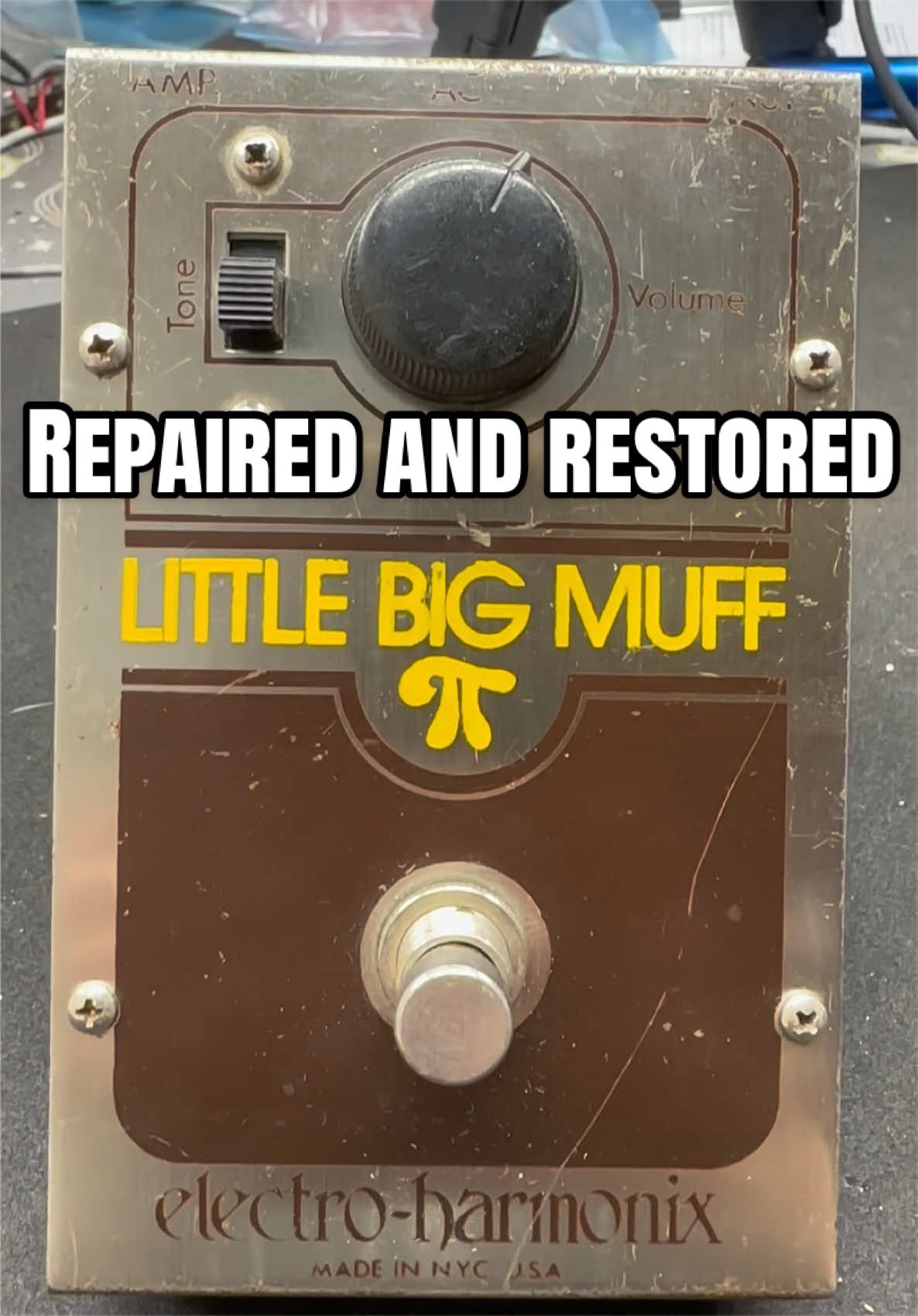 @Miss Shy | Instrument Repair