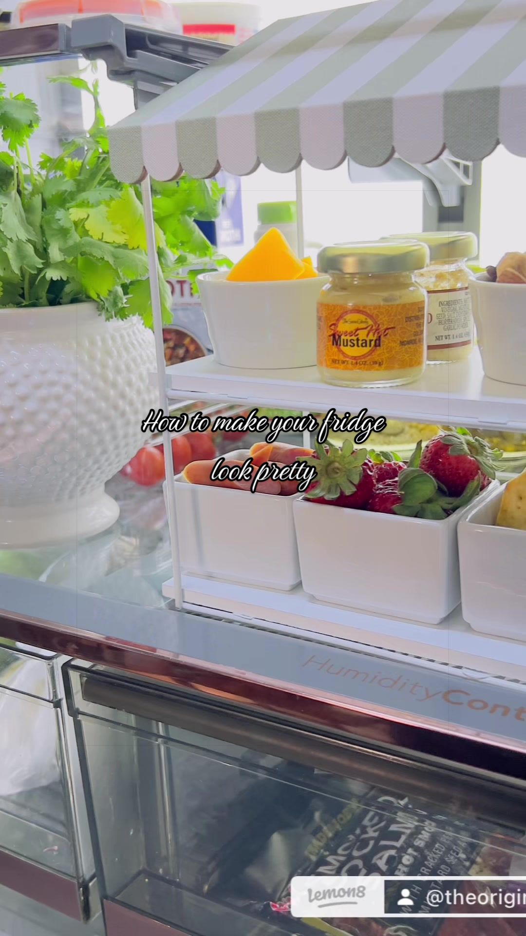 @ZW | Daily Finds