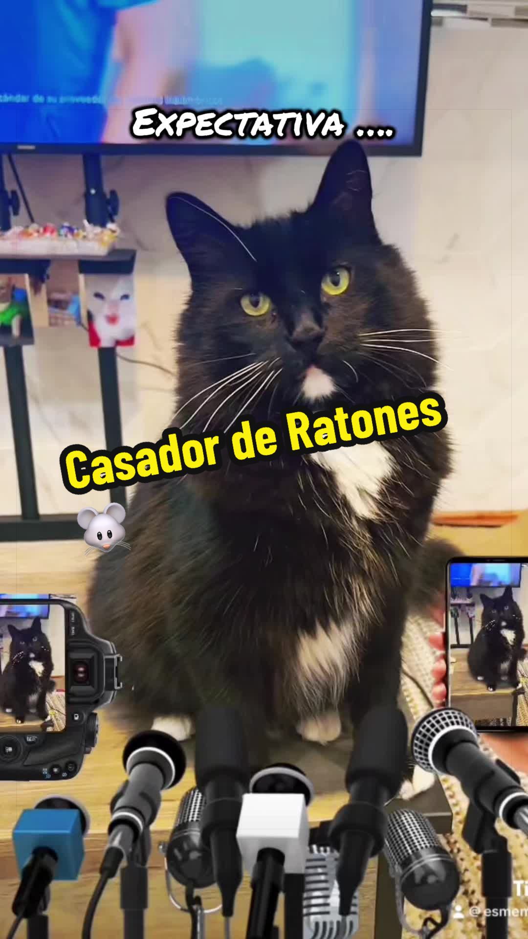 @🦖 MEOWassic World 🌎