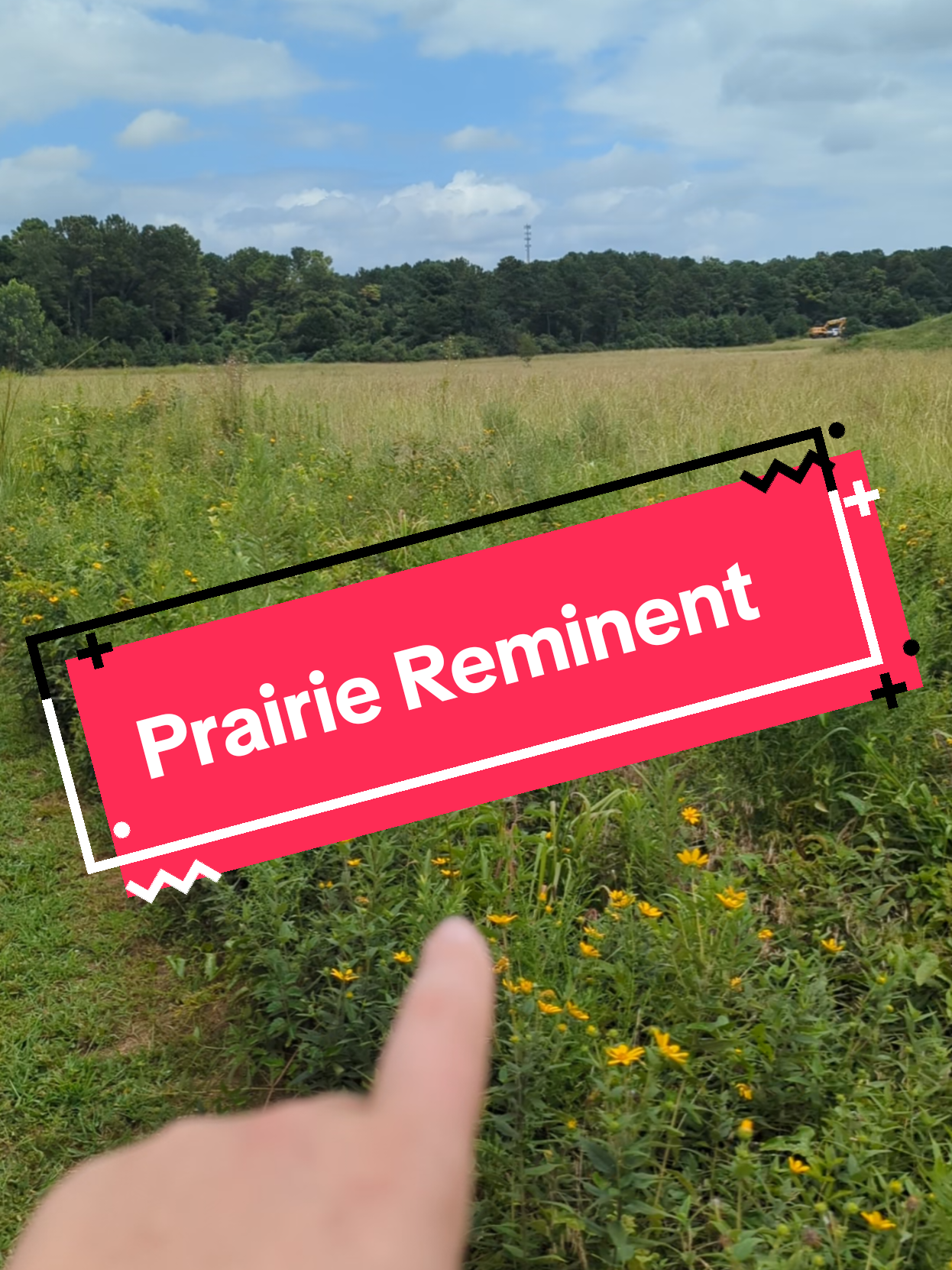 @Forage North America