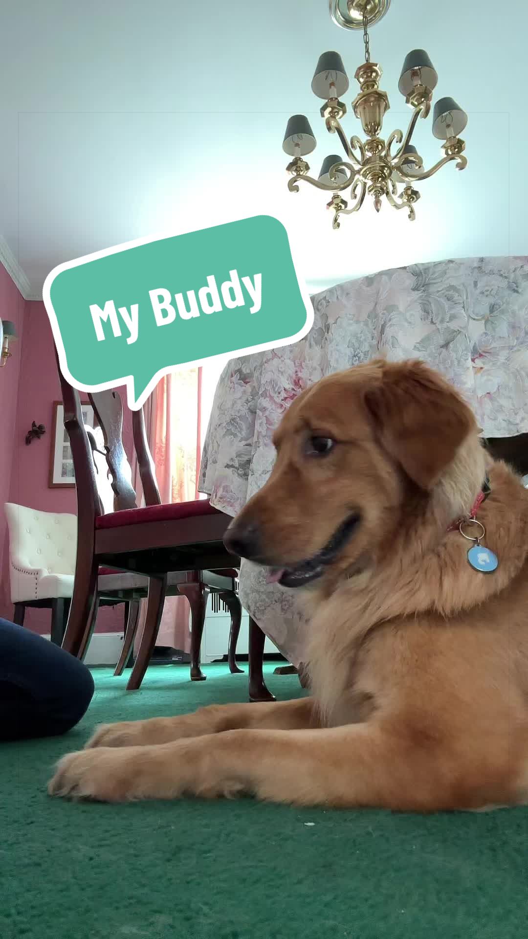 @BuildingWithRyan