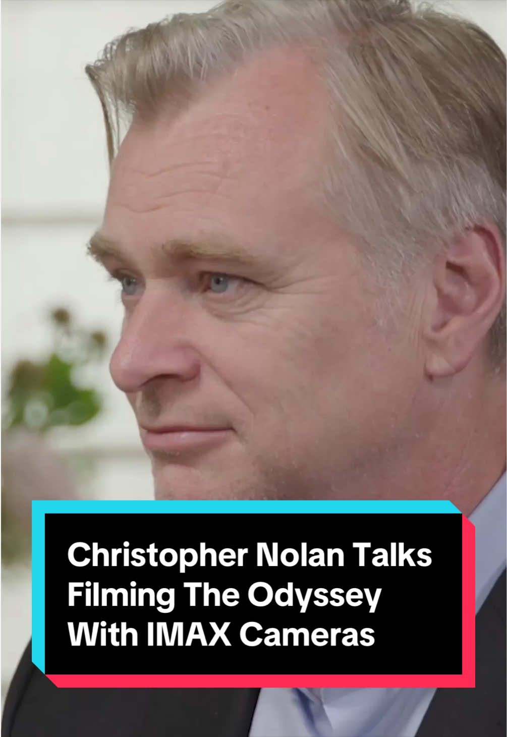 @Rotten Tomatoes