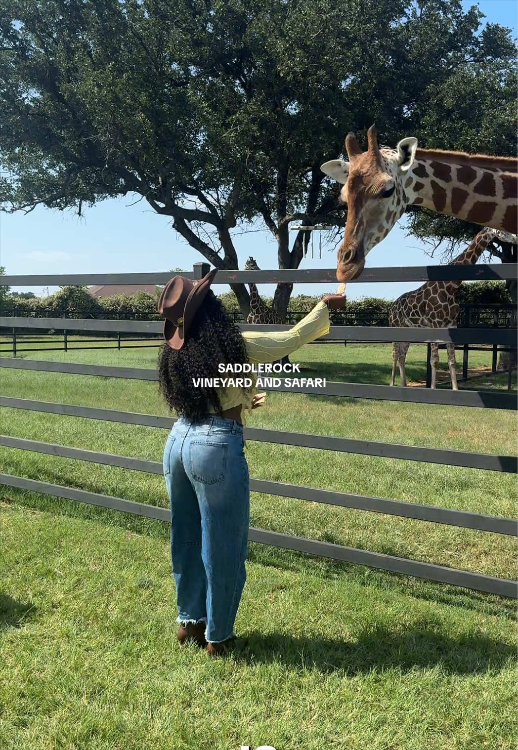 @Synae | Dallas Content Creator