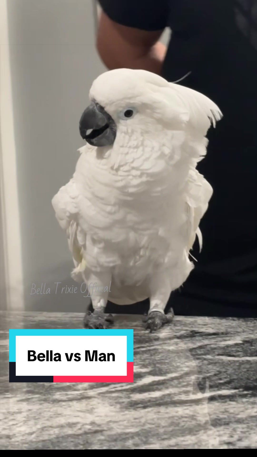 @bella_trixie_official